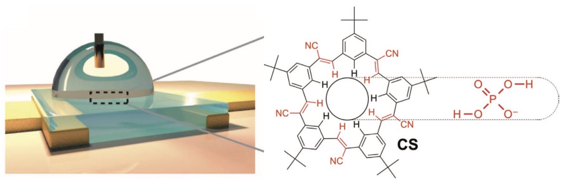 Receptor Induced Doping of Conjugated Polymer Transistors: A Strategy for Selective and Ultrasensitive Phosphate Detection in Complex Aqueous Environments